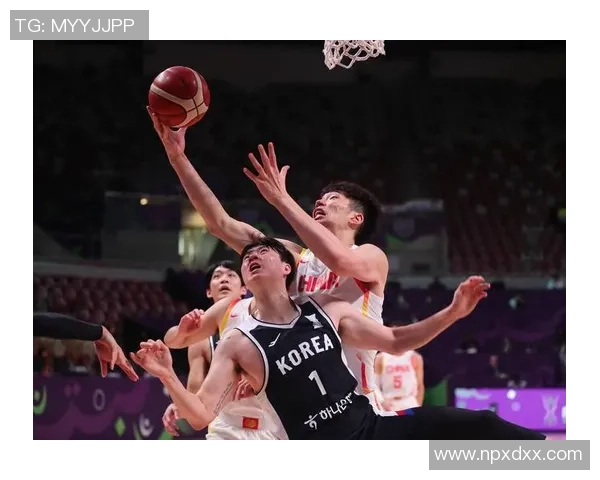 篮球纪实：记录上海篮球队的逆袭之旅